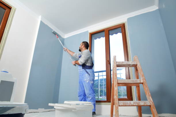 Best Eco-Friendly and Low-VOC Painting  in Kirby, TX