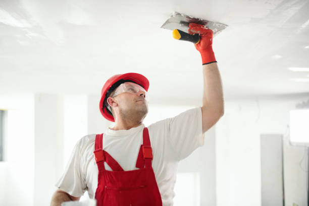 Best Drywall Removal and Disposal  in Kirby, TX